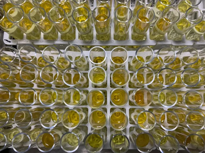 Tray of sample extracts in the Next Level Ag lab