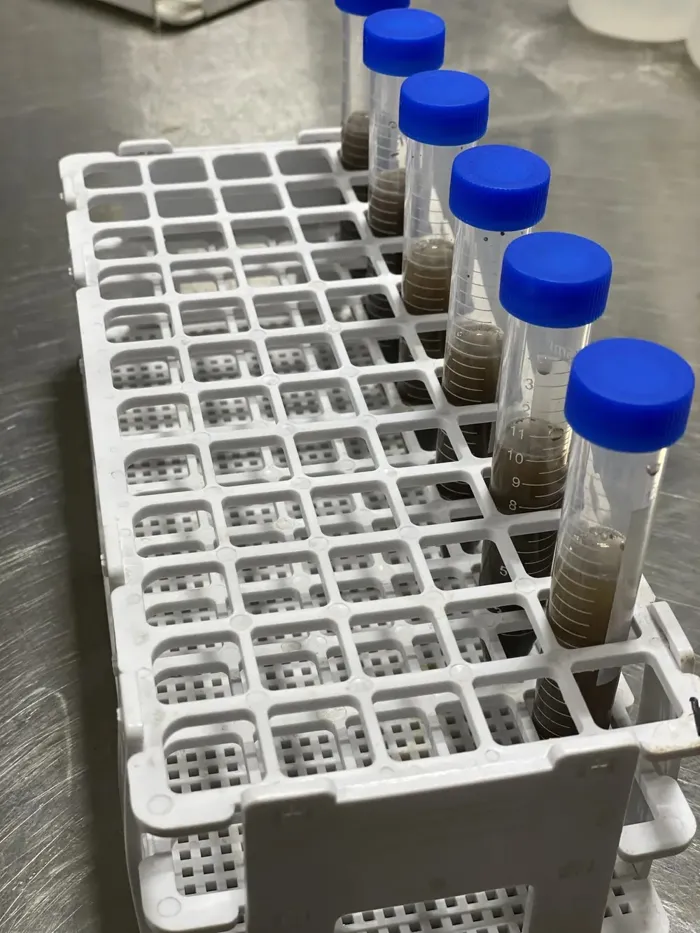 Capped sample vials in a rack at the Next Level Ag lab